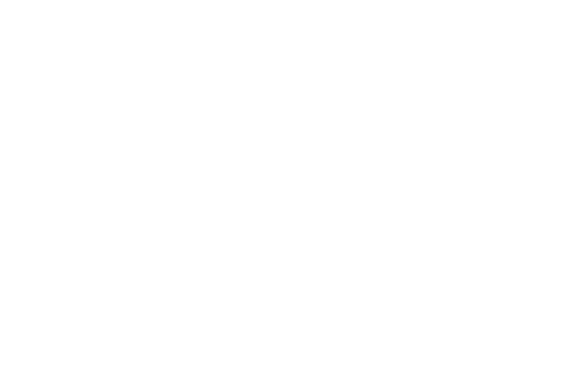 Hertha Metals Logo